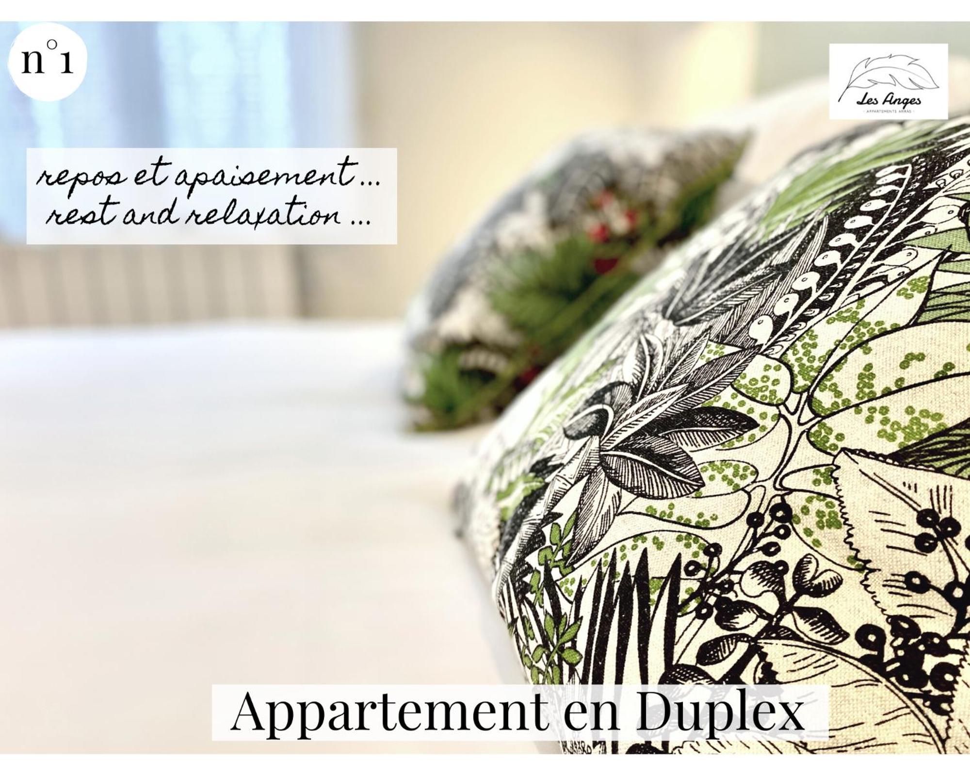Les Anges - 6 Appartements - Place Des Heros Arras Exterior photo