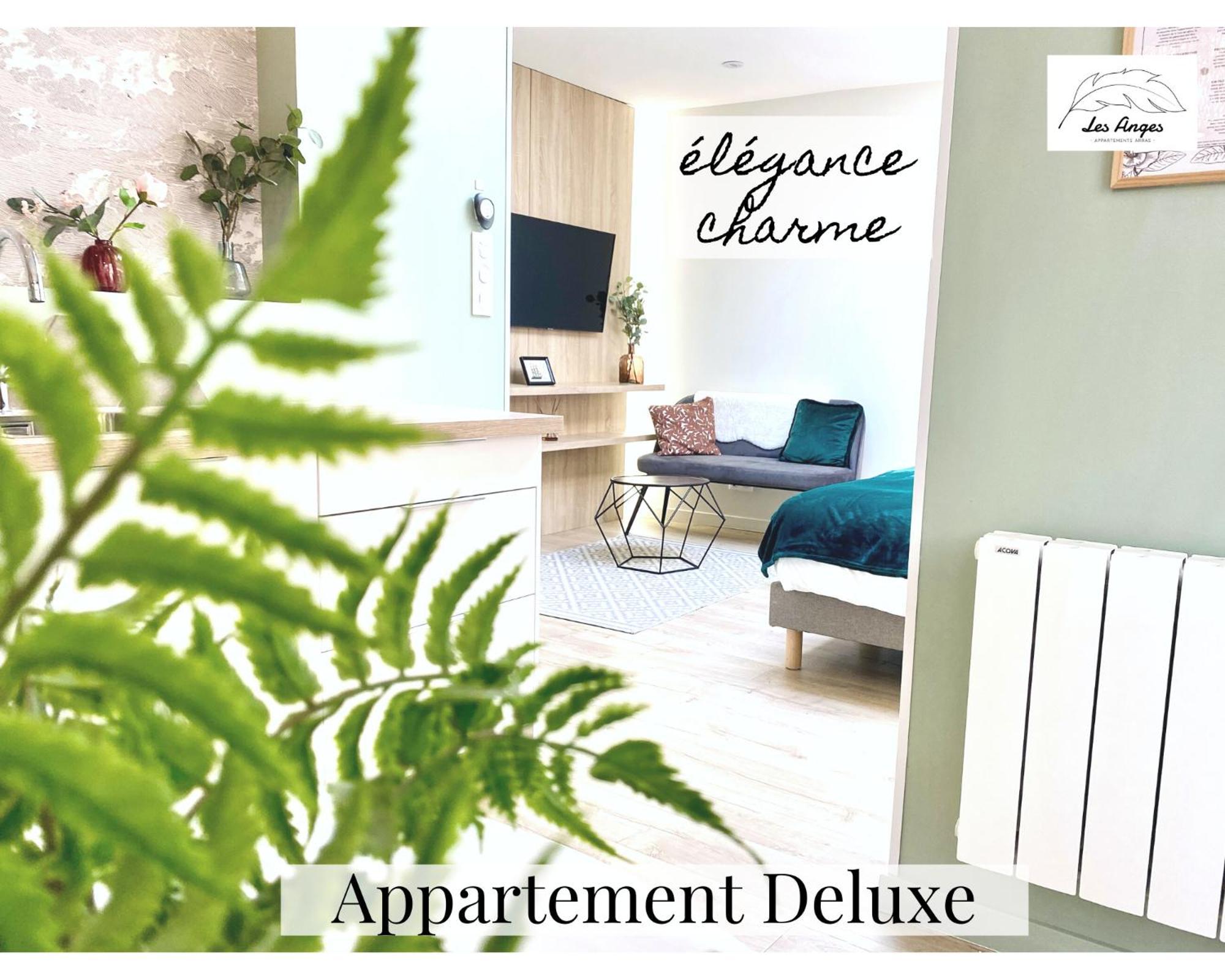 Les Anges - 6 Appartements - Place Des Heros Arras Room photo